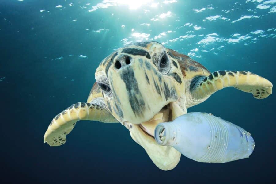 Tide Ocean verwandelt Meeresplastik in Uhren