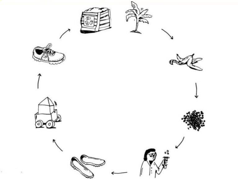 News KUORI developing biodegradable plastics